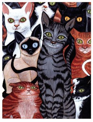 Cats(Not the Musical)!